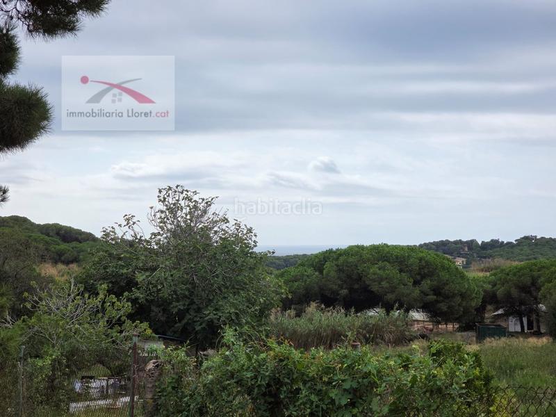 Foto 9efc64f0-60e1-49b7-9dbd-b7b3b6858b2e. Terrain résidentiel dans Condado del Jaruco - Puigventós Lloret de Mar