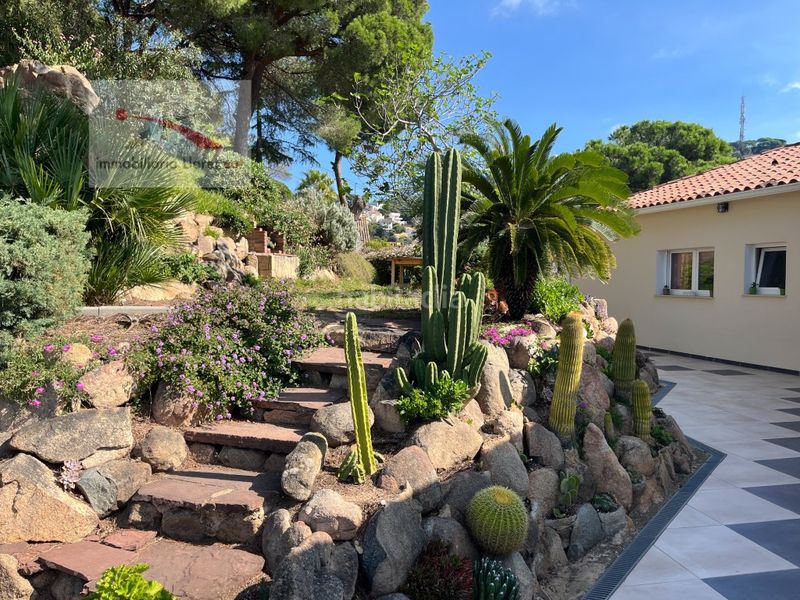 Foto 3aff7d87-773e-42cc-9a46-ba16eb621818. Casa amb aparcament a Roca Grossa Lloret de Mar