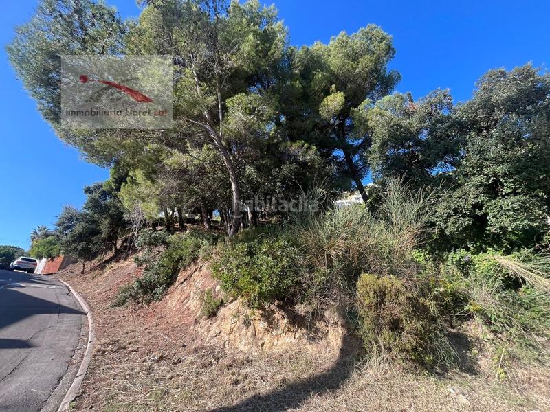 Foto d739d7fe-92ed-4899-86a9-452403ea4b5f. Terrain résidentiel dans Roca Grossa Lloret de Mar