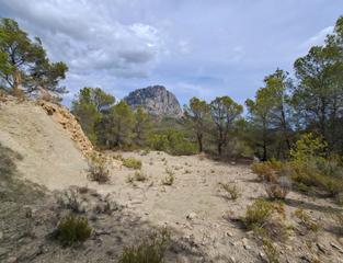 Fondo rustico in Finestrat Pueblo. Finca rústica a la venta en el realet en finestrat