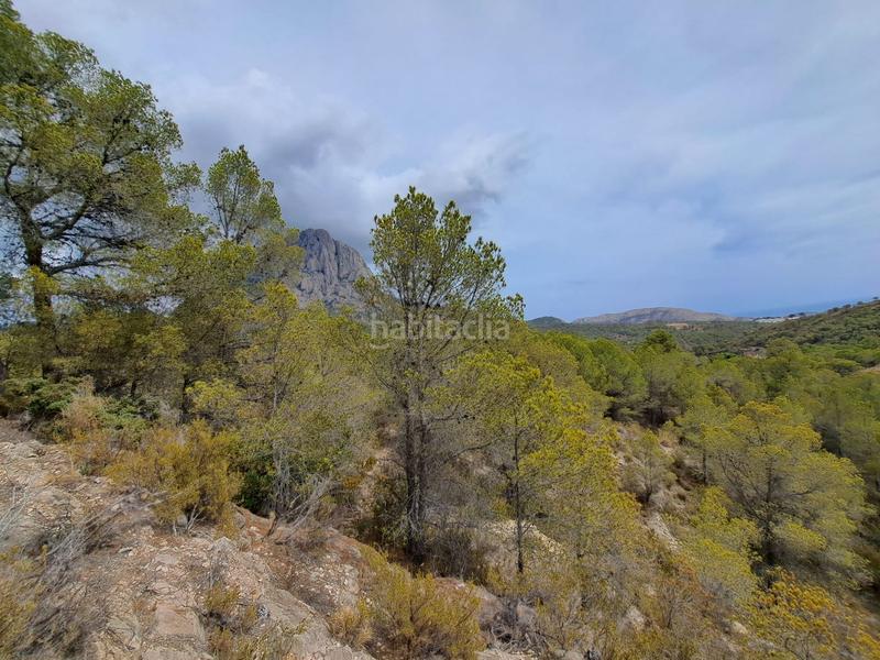 Foto a6d0bd1a-6efb-4c40-8384-bf6b5ed72b32. Finca rústica  en partida la sima en Finestrat
