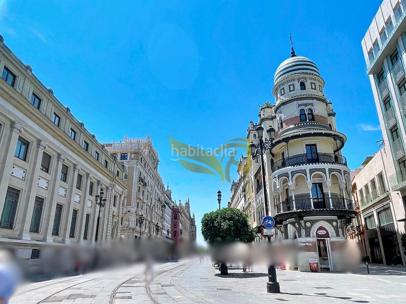 Foto 5d66b20f-068c-424f-8085-b43b3d18741d. Edifici a Alfalfa - Santa Cruz Sevilla