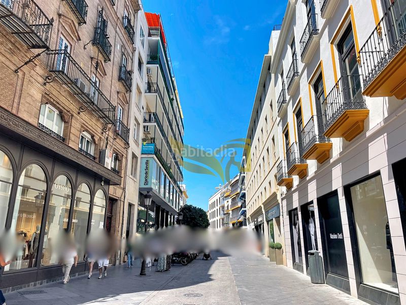 Foto 7b455f84-7d69-4850-a0ab-27d31780fb62. Edifici a Alfalfa - Santa Cruz Sevilla