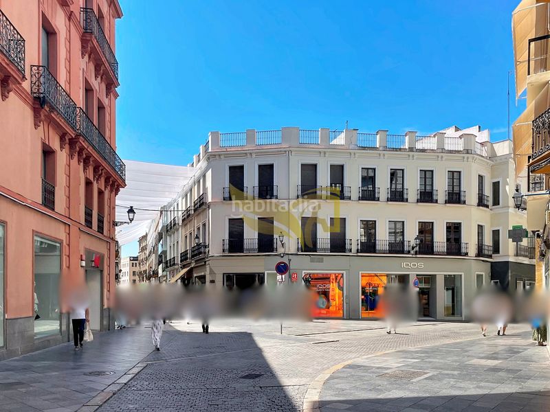 Foto d6f0bdce-57fa-4893-aa6b-a058d8a323a1. Edifici a Alfalfa - Santa Cruz Sevilla