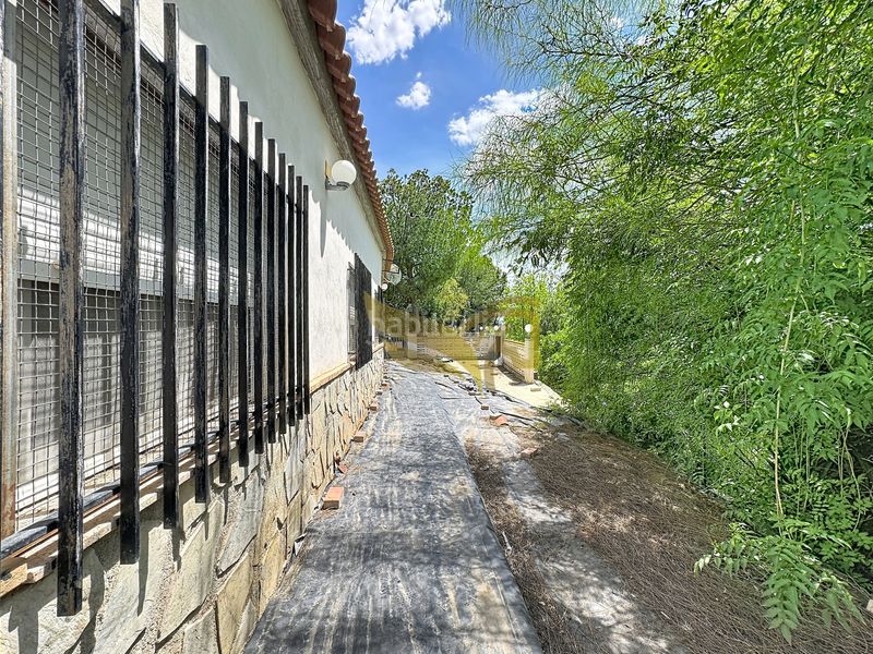Foto 2a9c90c3-dc73-4653-9ba2-5f4133f4f9f5. Masia amb aparcament piscina a Torres de Cotillas (Las)