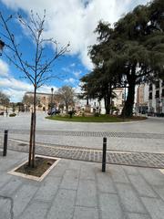 Local Comercial a Plaza Reyes Católicos