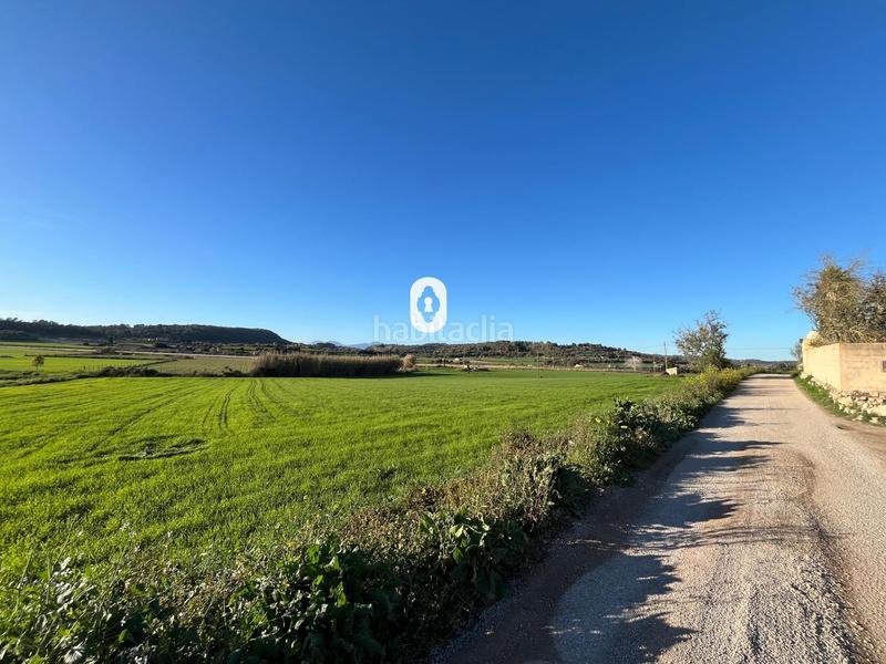 Foto 1163120c-96c5-47a8-b355-09f389d12017. Residential plot in Montuïri