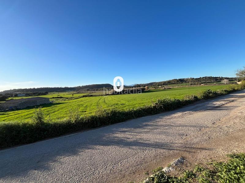 Foto 1aec744e-7420-46b0-b1ad-83d6d14dceda. Residential plot in Montuïri