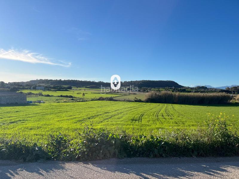 Foto 2774fcea-0397-42ea-865c-ac0f32593adf. Residential plot in Montuïri