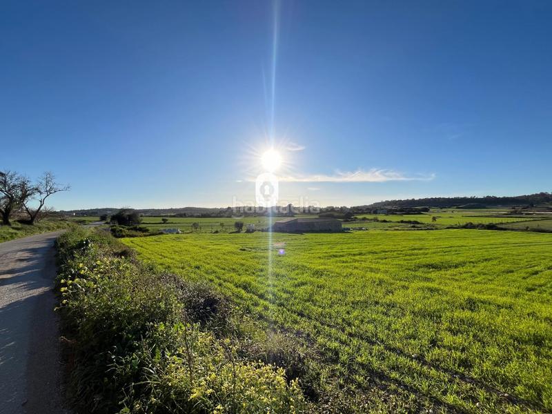 Foto 2c28d555-c627-4633-9f3a-fdd1464384e0. Residential plot in Montuïri