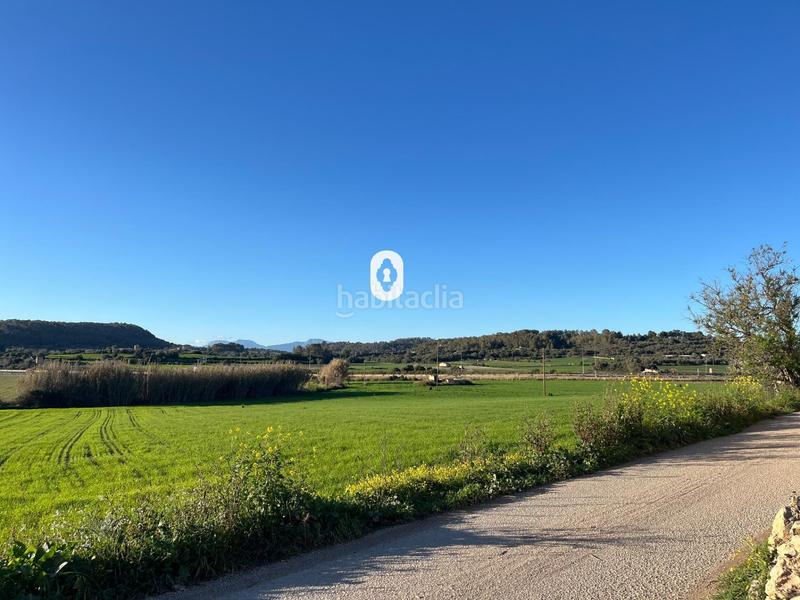 Foto 3f013119-d818-4613-a3c8-5f5d6b152de9. Residential plot in Montuïri