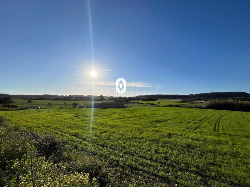 Foto 54005830-3b8d-423d-9965-7a20e07d65a0. Residential plot in Montuïri