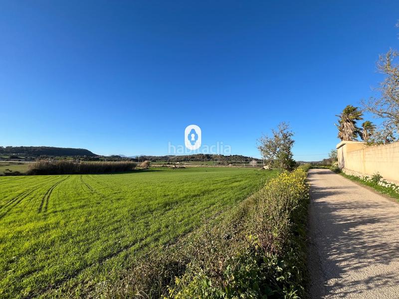 Foto 5cf11b4d-64e6-4c1b-8f0f-c11f2ad89409. Residential plot in Montuïri