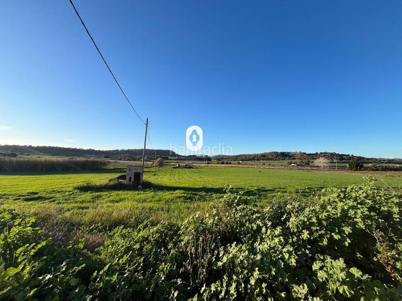 Foto 5d759dd6-04df-4260-8c0c-a9a53f736258. Residential plot in Montuïri