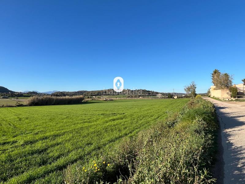 Foto 5edeed90-5b12-4423-acdd-4e456d2430c0. Residential plot in Montuïri