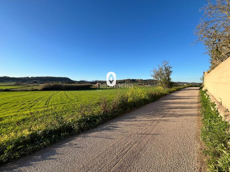 Foto 8092cc77-de31-4464-a3ec-f29293ae2032. Residential plot in Montuïri