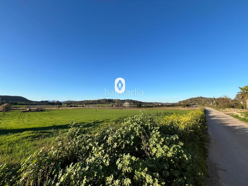 Foto 927d1c75-3b59-42e7-9fb6-8e5b5faf9dc2. Residential plot in Montuïri