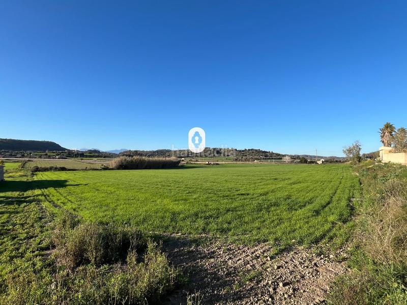 Foto 92a4292b-54cc-4bed-a339-b68c9f4ab71f. Residential plot in Montuïri