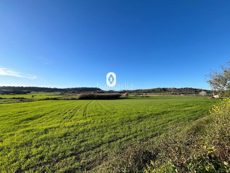 Foto d61da835-c879-4641-8b9f-8307636cc359. Residential plot in Montuïri