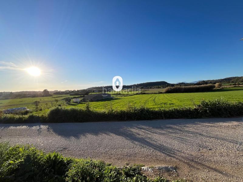 Foto f324b56a-40c1-432b-b4f0-ec11439f4e44. Residential plot in Montuïri