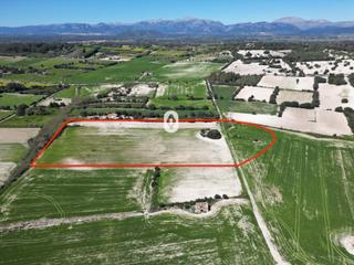 Residential Plot  Polígono 6 parcela 9826 poligono 006. llubi (ille. Se vende terreno edificable en llubí.