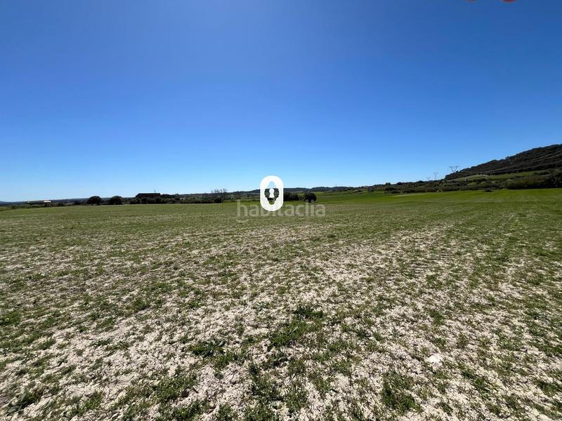 Foto f7093b67-02ab-4211-be93-a14f6b696b22. Terreny residencial a Llubí