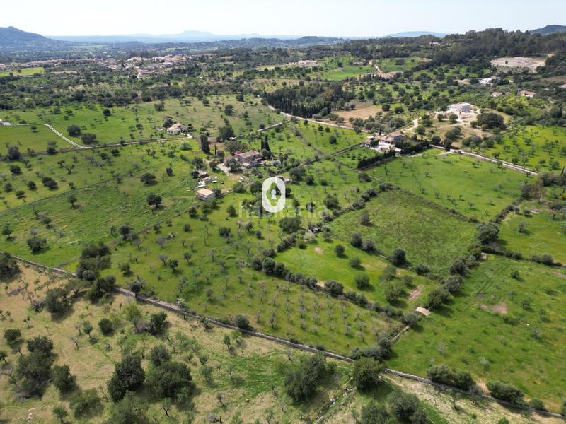 Foto 26dcbf3c-d6e0-44bd-959c-7d2f7cc18972. Terreny residencial a Selva