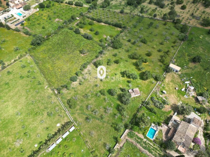 Foto 4238ab5e-0aa8-4633-bfc7-10506fc44723. Terreny residencial a Selva
