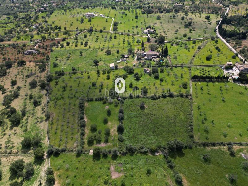 Foto 495d9f5c-c373-4860-a928-e87334437b56. Terreny residencial a Selva