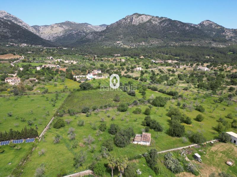 Foto 6bbc1ebf-6f88-4796-87b6-78fc10cb3cfa. Terreny residencial a Selva