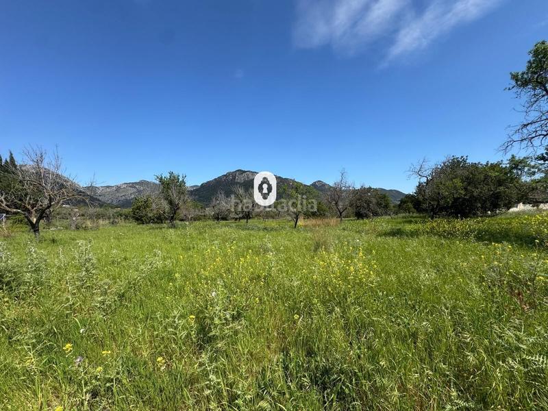 Foto 6f09f609-a6c2-4715-90b9-4922d8ff5ffa. Terreny residencial a Selva