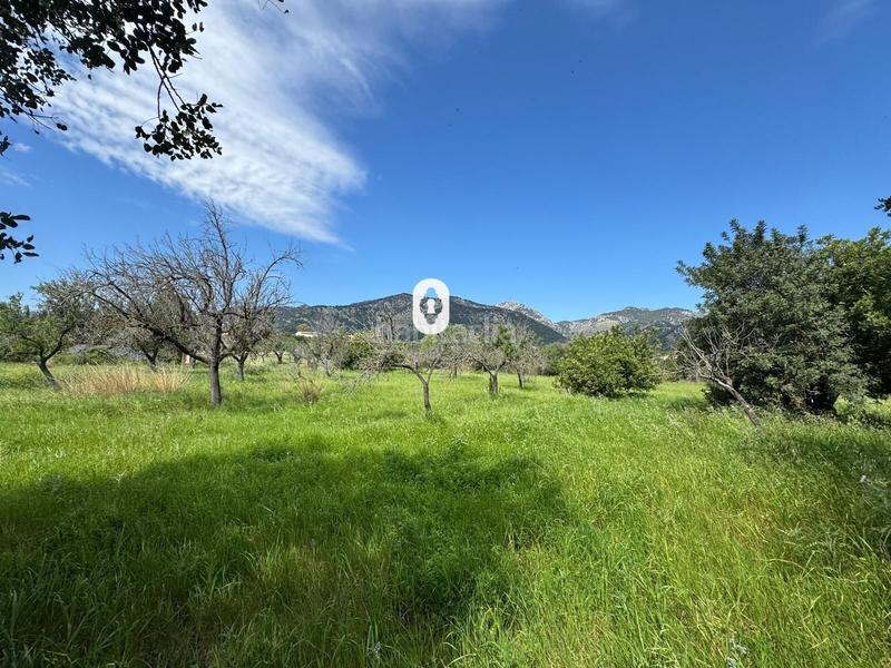 Foto 8b445e38-80be-4d9a-b67d-866c0de52ed1. Terreny residencial a Selva