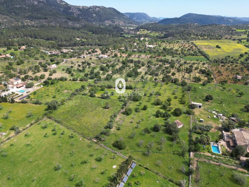 Foto c4dd3109-d609-475b-b1ab-a07903ba68b0. Terreny residencial a Selva
