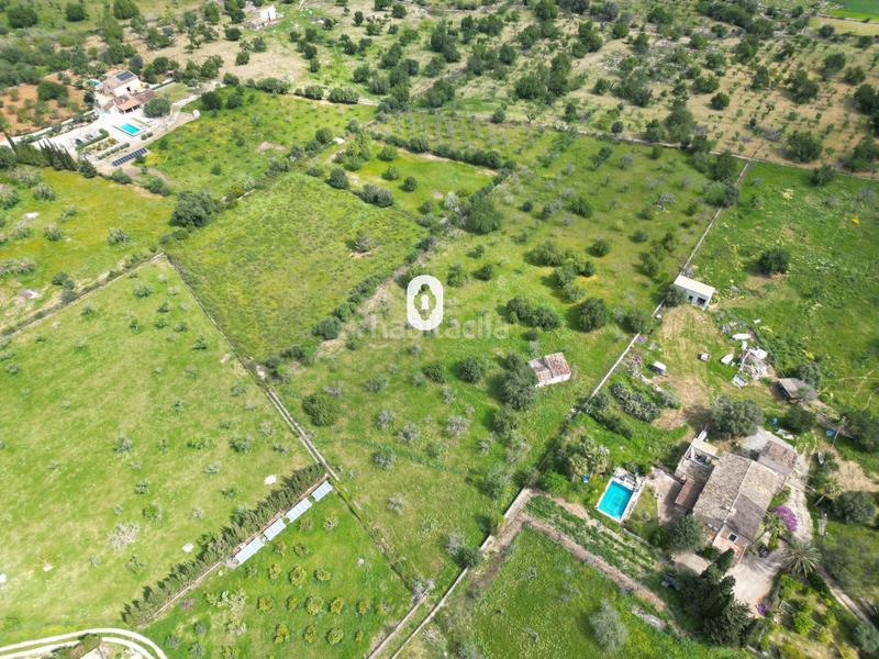 Foto c9957088-fece-4d92-a8a5-a269aeb46995. Terreny residencial a Selva
