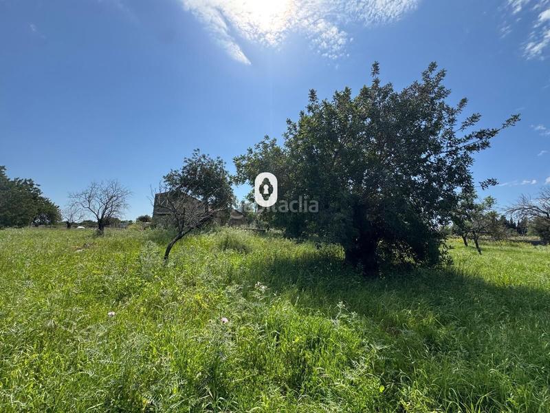 Foto da00f16a-ae2b-4c78-8a1b-55fa57ece0aa. Terreny residencial a Selva