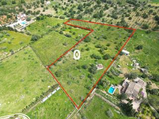 Terreny residencial  Polígono 15 parcela 49 son morro. selva (illes ba. Se vende terreno con proyecto básico, selva.
