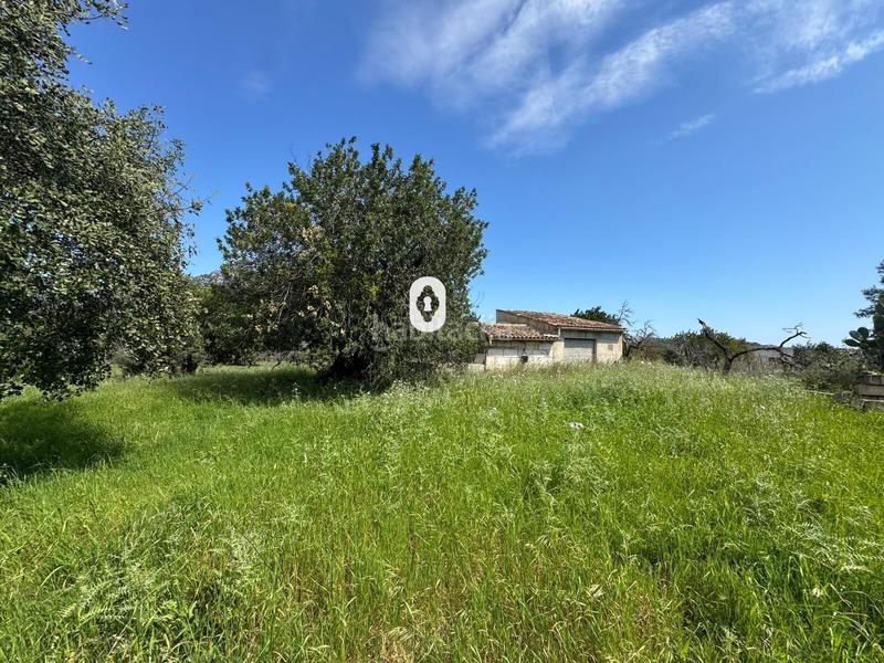 Foto f7596846-8817-4854-9afe-dbd9745b1b3d. Terreny residencial a Selva