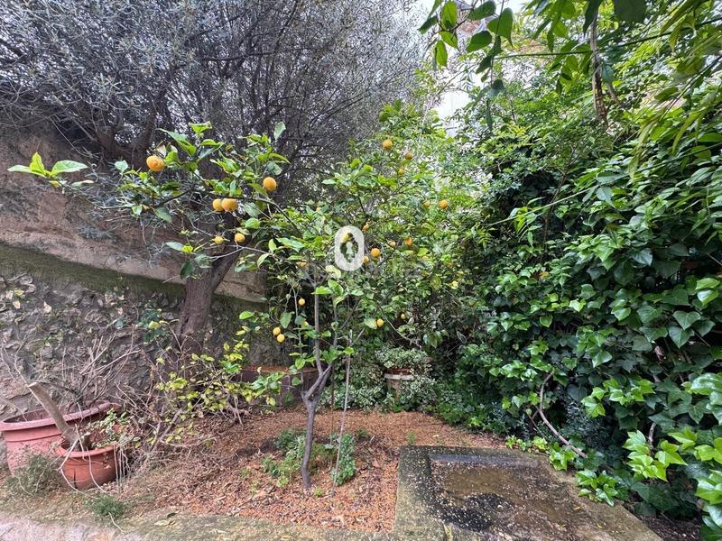 Foto d03dd6a0-accf-49ba-92e4-8c851bfab39c. Chalet se vende triplex . en Lloseta