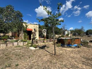 Bauernhof in Son Amonda - Reis Catòlics. Finca rústica a las afueras de inca