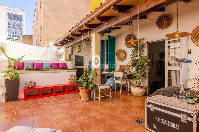 Foto 24ca1c37-5295-4c8d-b6bb-3c89532514f2. Planta baixa amb aparcament piscina a El Terreno Palma de Mallorca