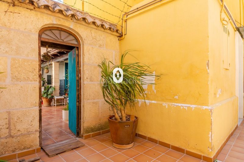 Foto 269f9127-a4d6-4de2-8729-077ef34ce64b. Planta baixa amb aparcament piscina a El Terreno Palma de Mallorca