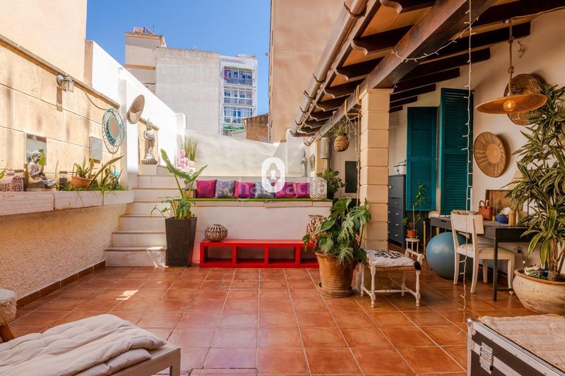 Foto a15557bf-2bdb-46c3-bb39-b82f50020546. Planta baixa amb aparcament piscina a El Terreno Palma de Mallorca