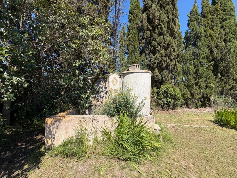 Foto 08d494bc-f4eb-47bb-b73b-f0163f3bc6c4. Masia a Binissalem