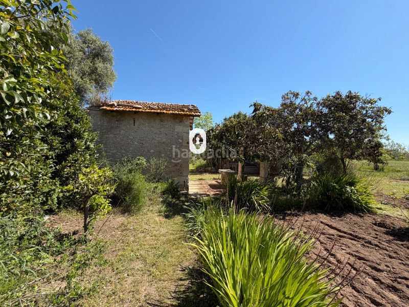 Foto 0e2a9c27-619f-42bd-9f81-d0b3ba2631ae. Masia a Binissalem