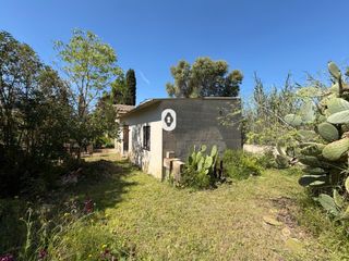 Masia  Poligono 14. Se vende finca rústica para reformar en binissalem.