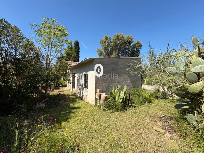 Foto 1166858a-55aa-4de5-993b-e8b48e585524. Masia a Binissalem