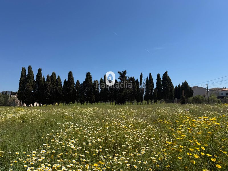 Foto 30d8b5fb-0075-44d6-8761-26bd08065462. Masia a Binissalem