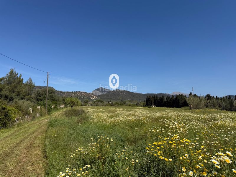 Foto 32a0ef0c-c4e2-4667-a47f-3105516689f9. Masia a Binissalem