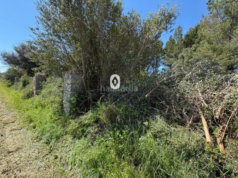 Foto 3c82b617-fbf5-414a-9f41-5c1fc65f29a7. Masia a Binissalem