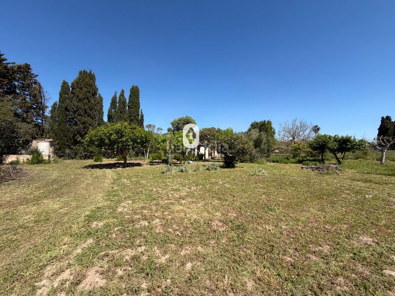 Foto 44faa35f-9079-4289-b2e8-e1d5effbdf9e. Masia a Binissalem